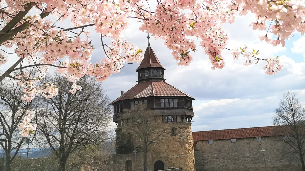 Stäffelestour zur Burg Esslingen  individueller Stadtrundgang