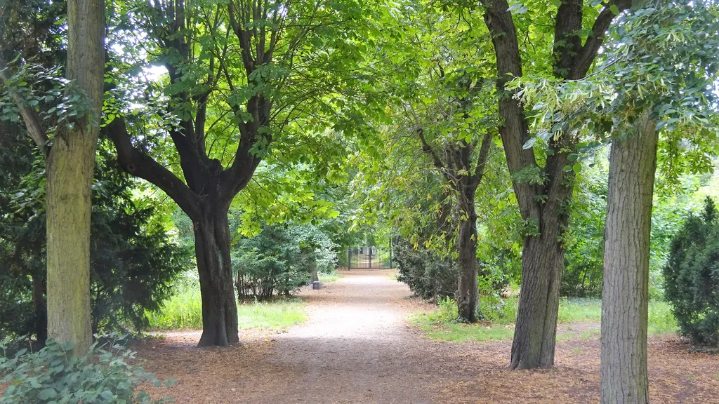 Prenzlauer Berg Spaziergang durch den Kiez individueller Stadtrundgang