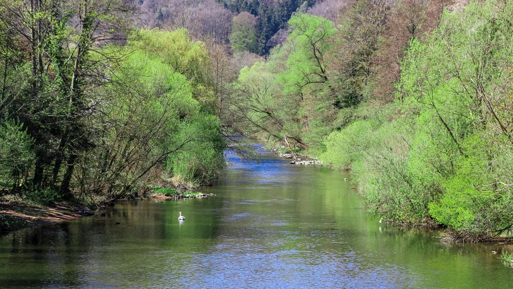 Pforzheim Führung im  Stadtteil Dillweißenstein  individueller Stadtrundgang