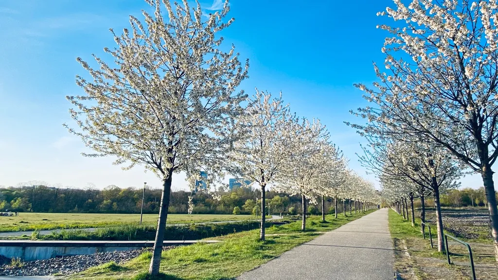 Phoenix-West Dortmund - Strukturwandel erleben individueller Stadtrundgang