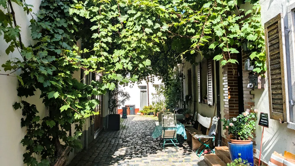 Speyer Dom Altstadtführung Welterbe individueller Stadtrundgang