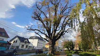 Frankfurter Un-Orte I Stadtführung