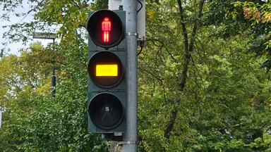 Düsseldorf Tour: Kuriose Fakten & unnützes Wissen Stadtführung