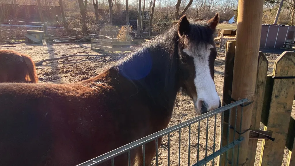 Dortmunder-Althoffblock, 4 Grünoasen und Caféliebe individueller Stadtrundgang