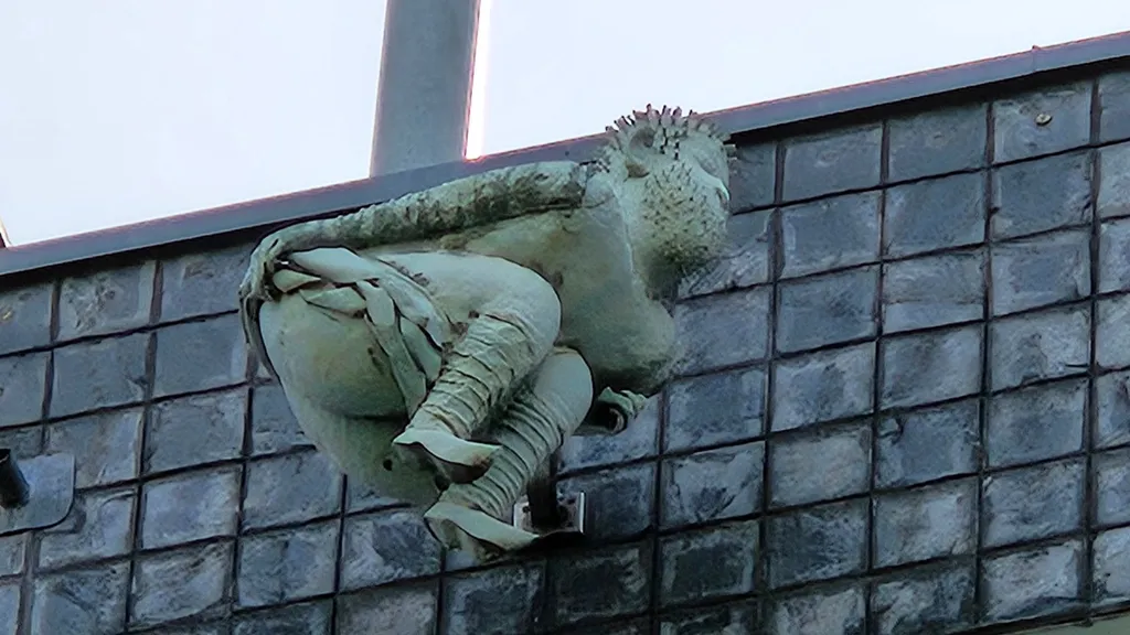 Köln Tour: Kuriose Fakten und unnützes Wissen individueller Stadtrundgang