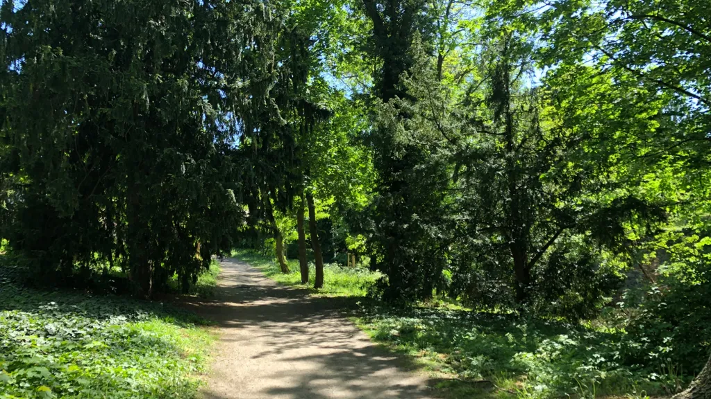Ein Spaziergang durch den Schlosspark in Ostrau individueller Stadtrundgang