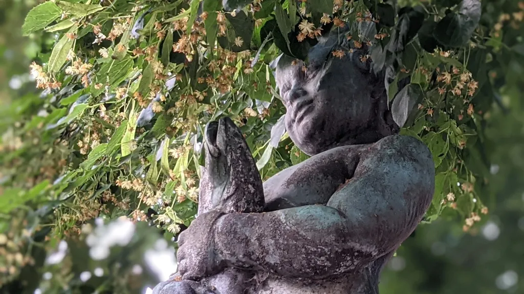 Die Hameln Rallye: Eine Altstadt unter der Lupe individueller Stadtrundgang