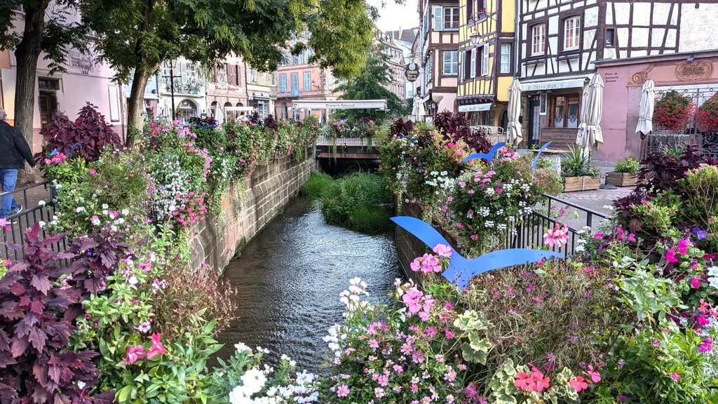 Colmar Elsass Altstadtführung  individueller Stadtrundgang