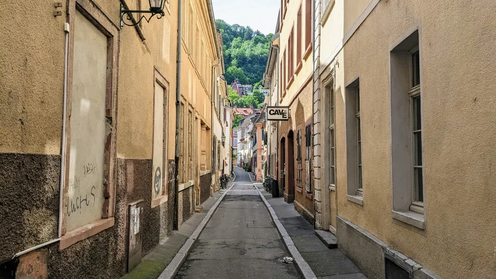 Heidelberg Altstadt Stadtführung individueller Stadtrundgang