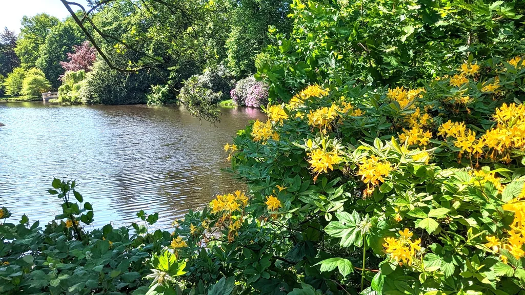 Oldenburg Stadtspaziergang mit Hafen individueller Stadtrundgang