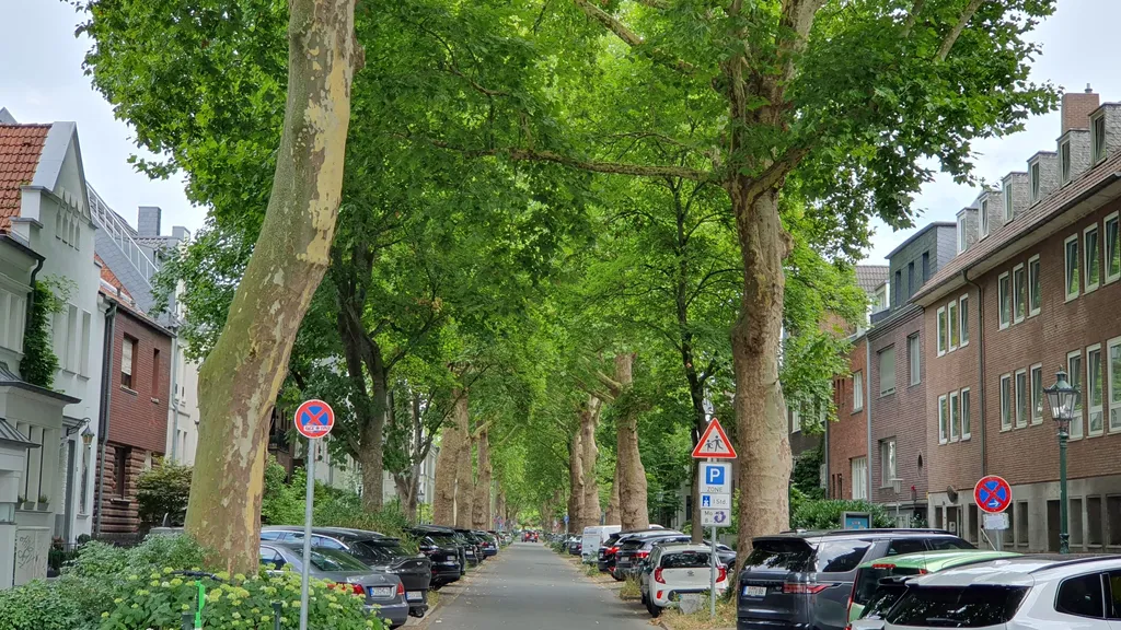 Oberkassel: Schickes Bohème-Viertel in Düsseldorf individueller Stadtrundgang