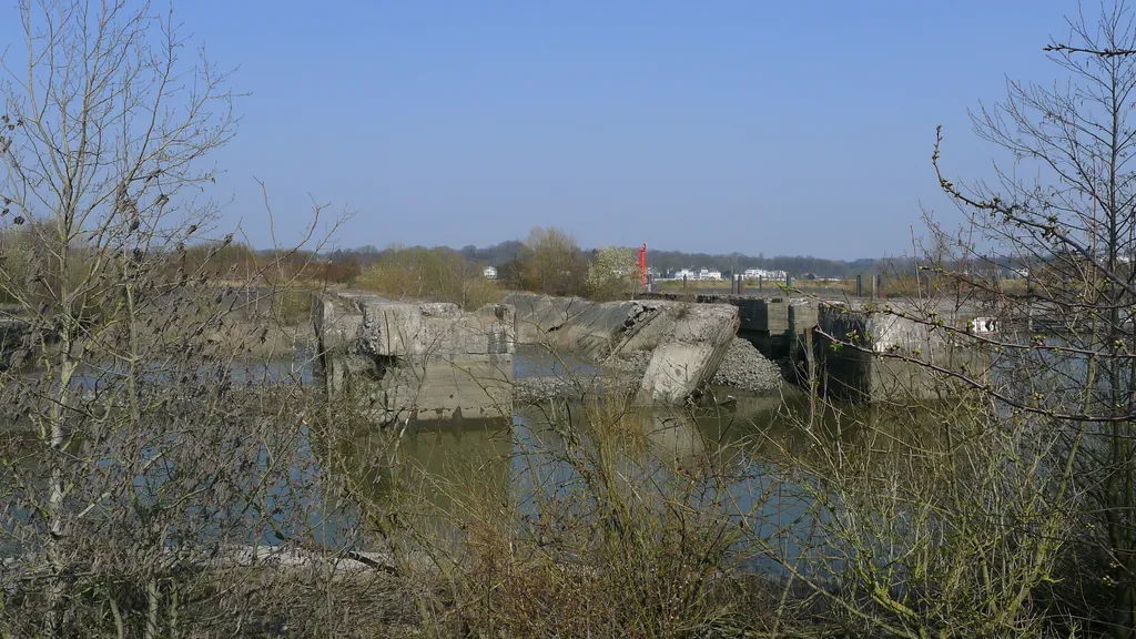 Finkenwerder Führung Insel-Spaziergang  individueller Stadtrundgang