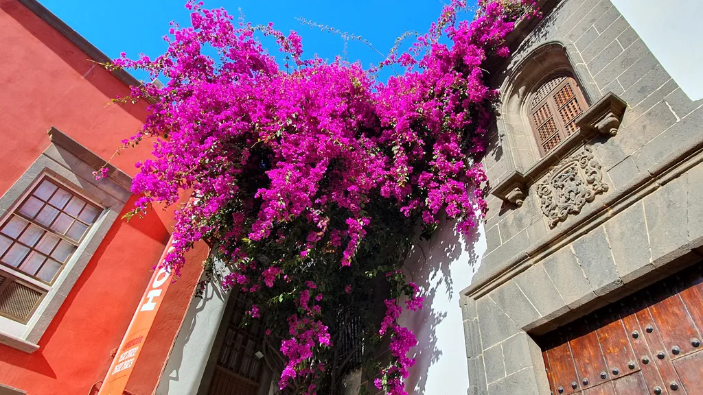 Highlights in der Altstadt von Las Palmas individueller Stadtrundgang