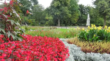 Tiergarten, Tiergarten oder Tiergarten? Stadtführung