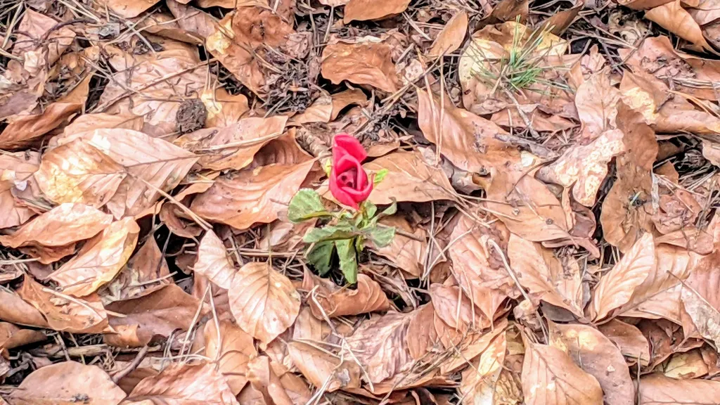 Stahnsdorf Friedhof Südwestkirchhof Promi Führung individueller Stadtrundgang