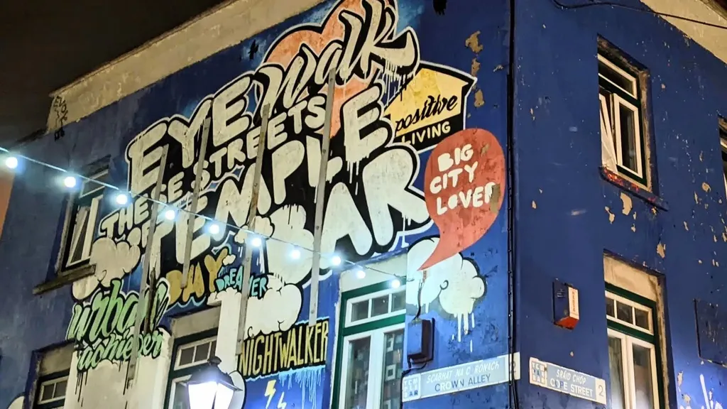 Temple Bar bei Nacht: Pub & History Tour in Dublin individueller Stadtrundgang