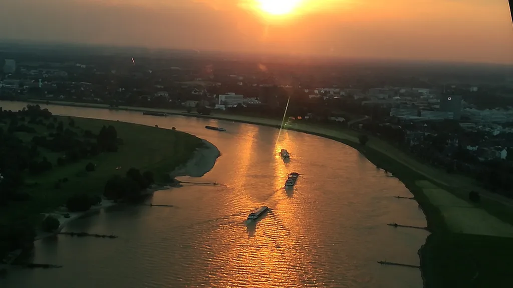 Dreiste Diebe stehlen die Flossis im Medienhafen individueller Stadtrundgang