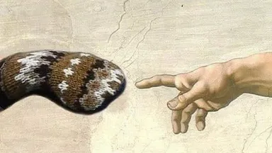 Die Sanders Memes - einem Phänomen auf der Spur Stadtführung Die Sanders Memes - einem Phänomen auf der Spur Stadtführung