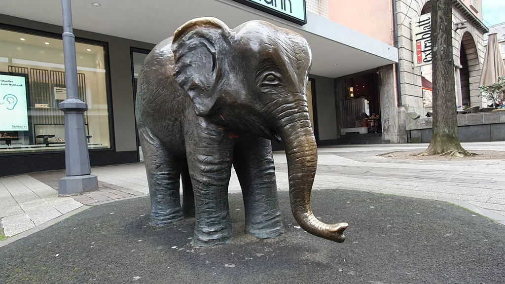 Wuppertal: Bummel durch Barmen individueller Stadtrundgang