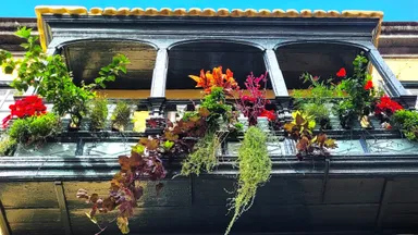 Santa Cruz de La Palma: Balkone, Meer & Geschichte Stadtführung