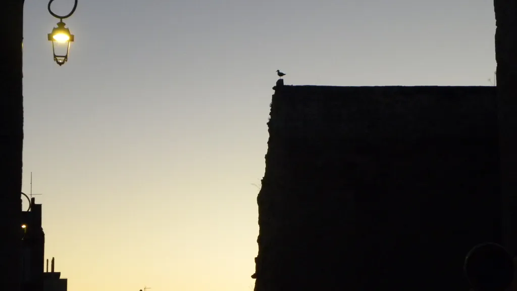 Tagestour Marseille Highlights & Geheimnisse individueller Stadtrundgang