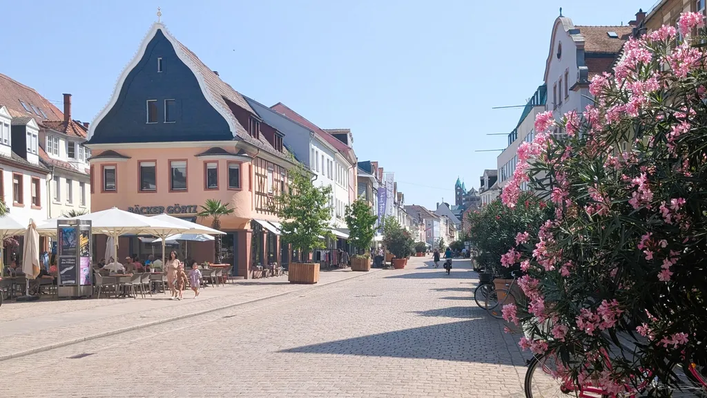 Speyer Dom Altstadtführung Welterbe individueller Stadtrundgang