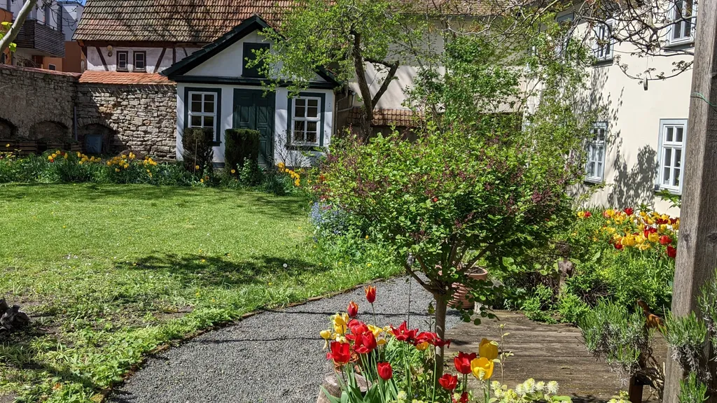 Spitzen Stadtführung Erfurt Damals und Heute individueller Stadtrundgang