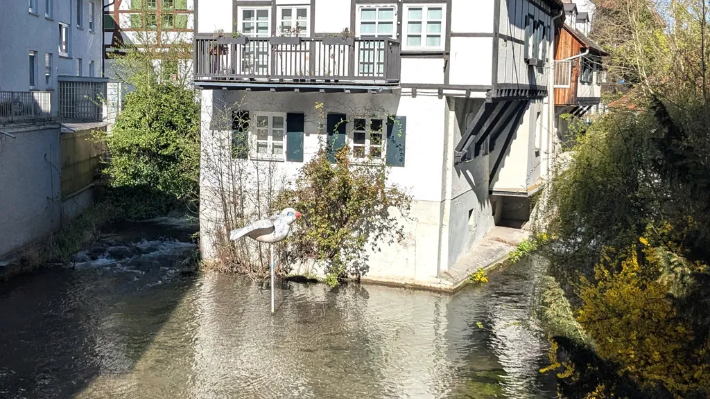 Ulm Stadtführung Fischerviertel Münster individueller Stadtrundgang