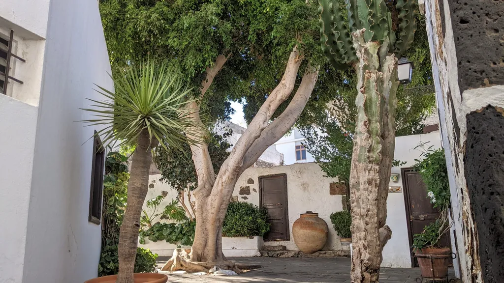 Lanzarote Arrecife Rundgang Hafen und Altstadt individueller Stadtrundgang