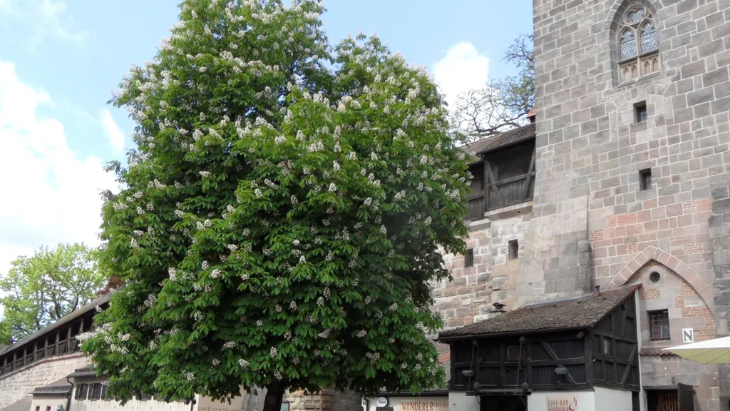 Nürnberg Altstadt Führung für Familien individueller Stadtrundgang