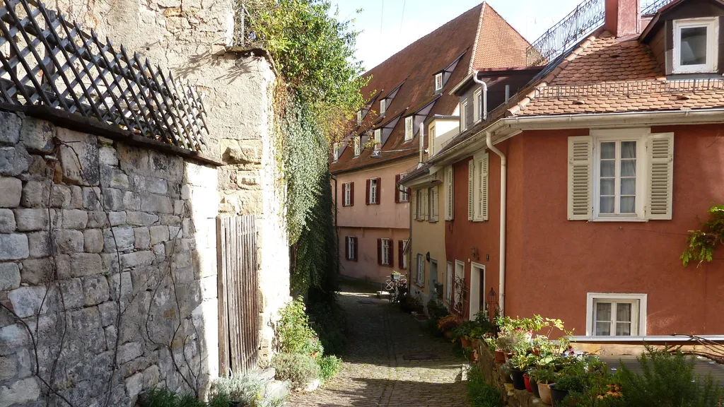 Tübingen Altstadt Führung Schloss - Neckarbrücke individueller Stadtrundgang