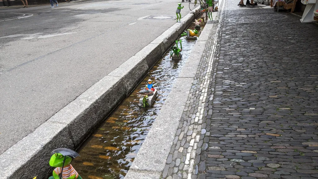 Freiburg Stadtführung Altstadt individueller Stadtrundgang